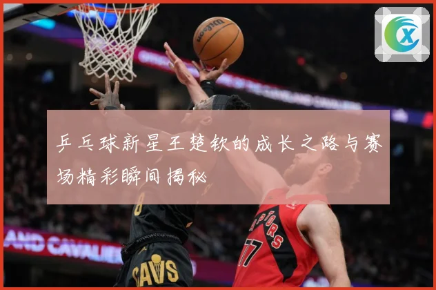 乒乓球新星王楚钦的成长之路与赛场精彩瞬间揭秘